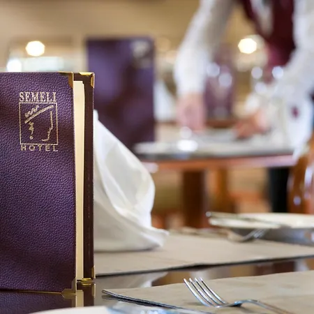 Hotel Semeli Nicosia